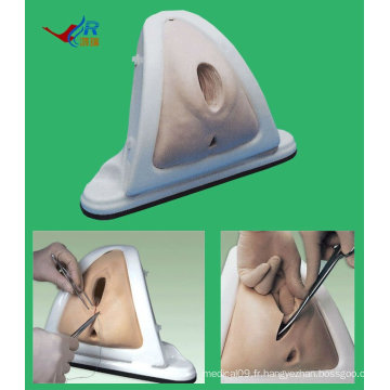 HR / F3A Advanced Perineum cutting and Suturing Training Simulator